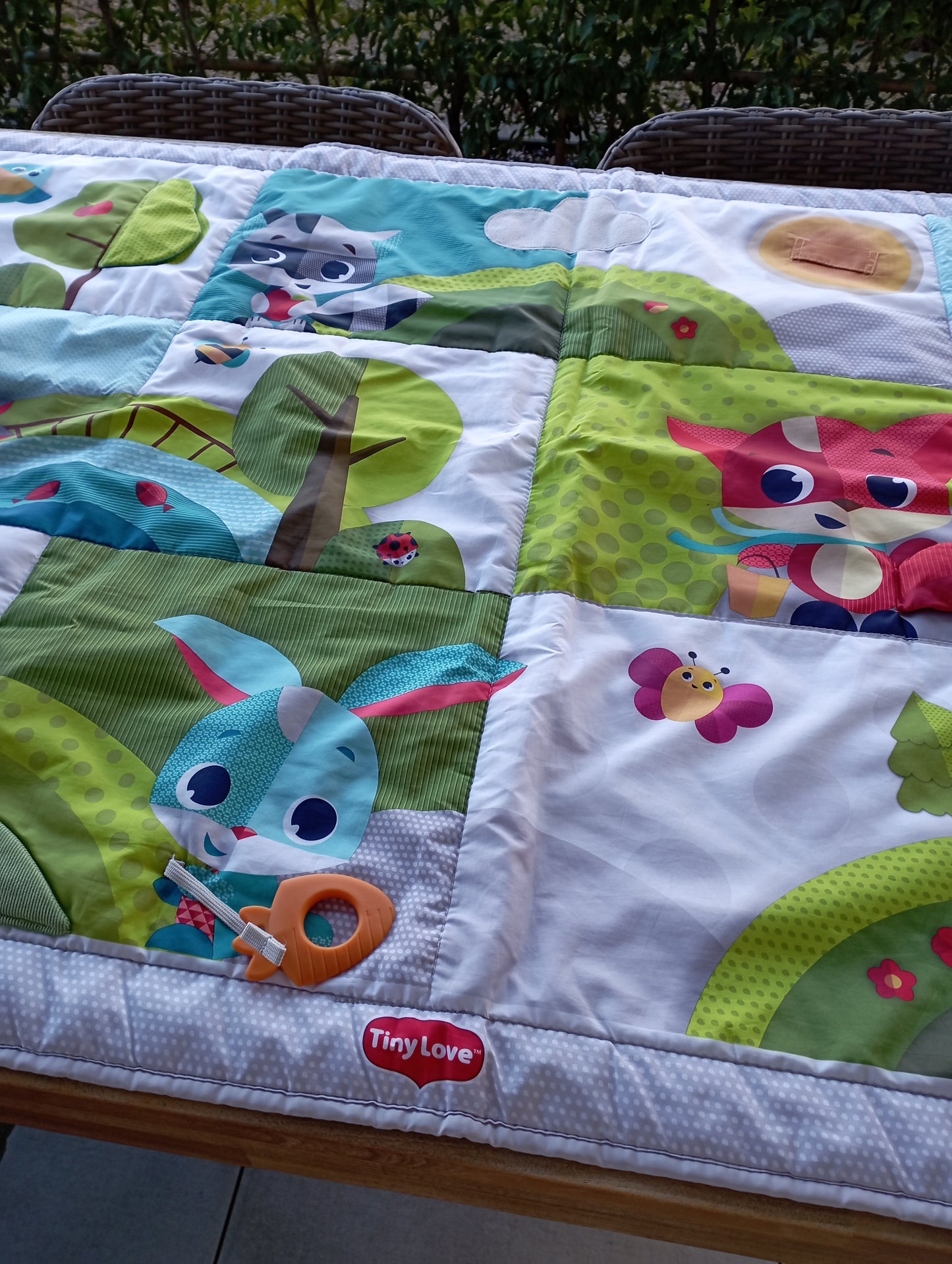 Speelmat 100x150cm Tiny Love
