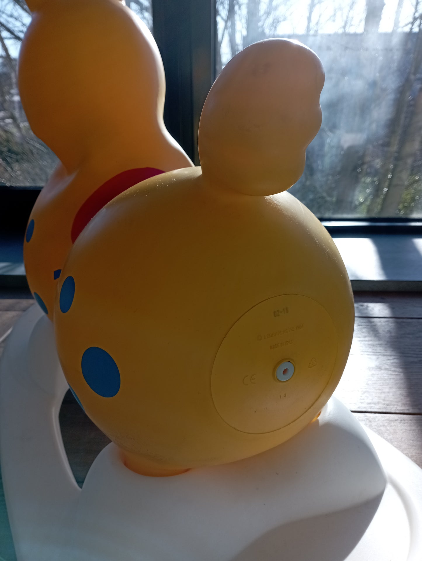 Rody De pony met wip Wesco