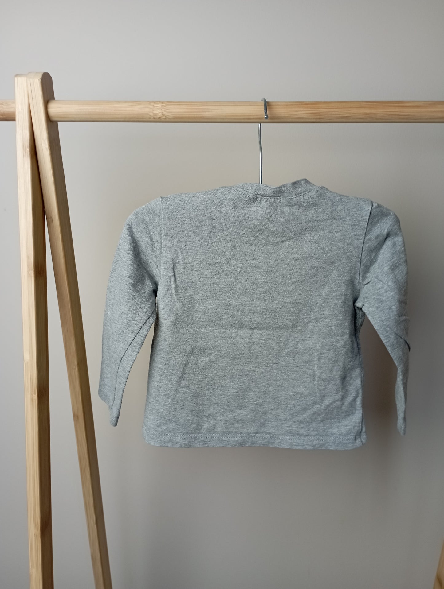Longsleeve met dino 74 GYMP