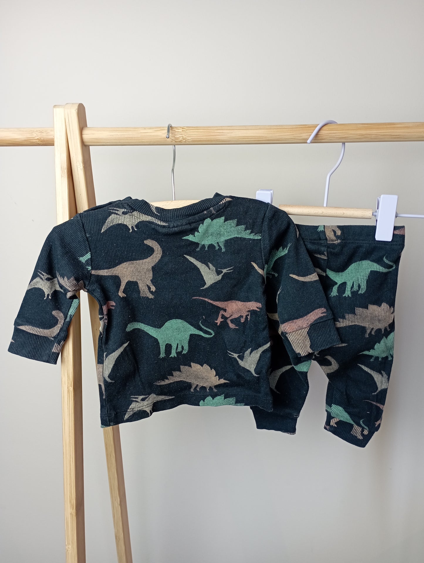 Setje met dino's 56 Feetje