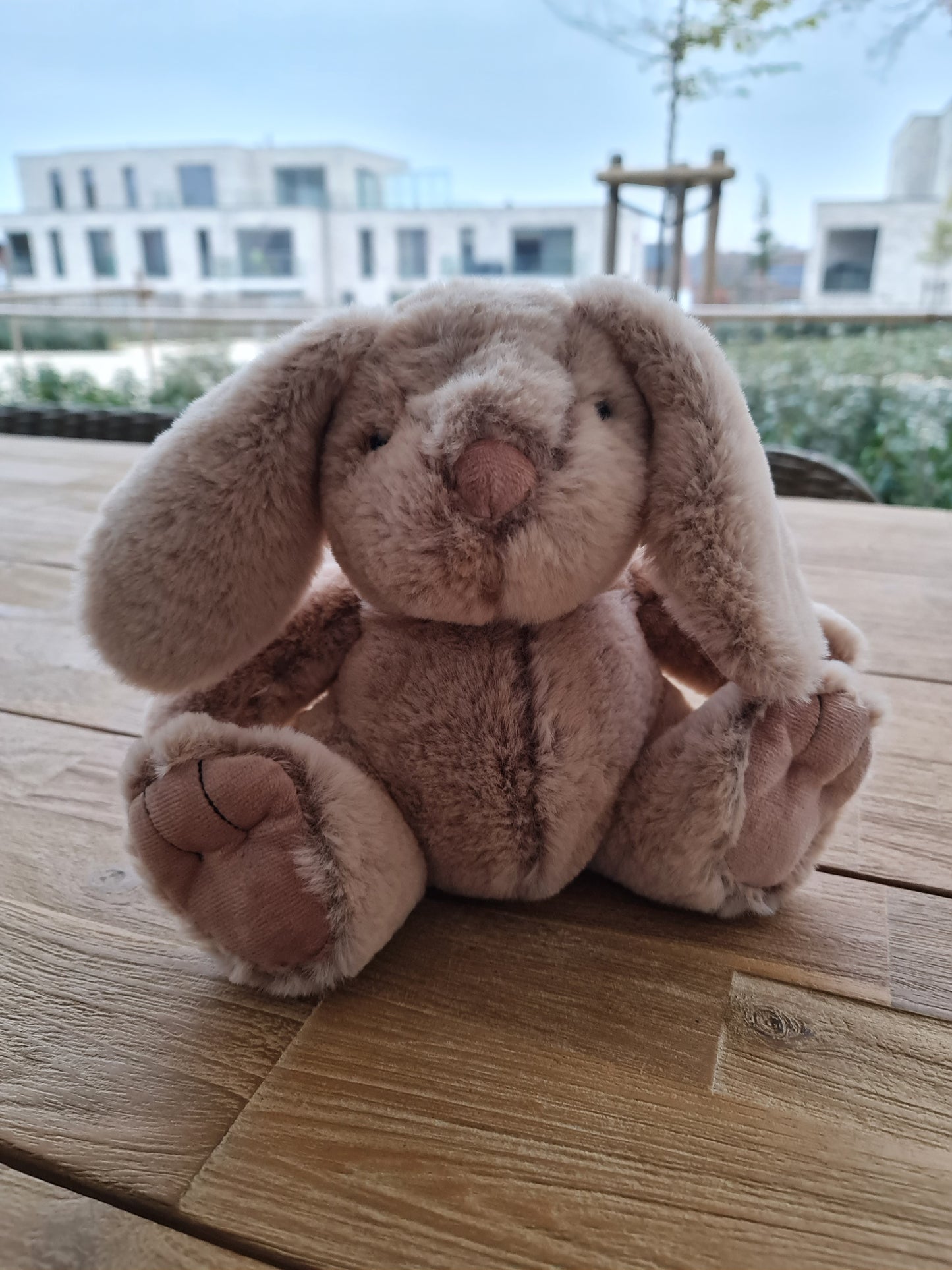 Zacht knuffelkonijn KSD