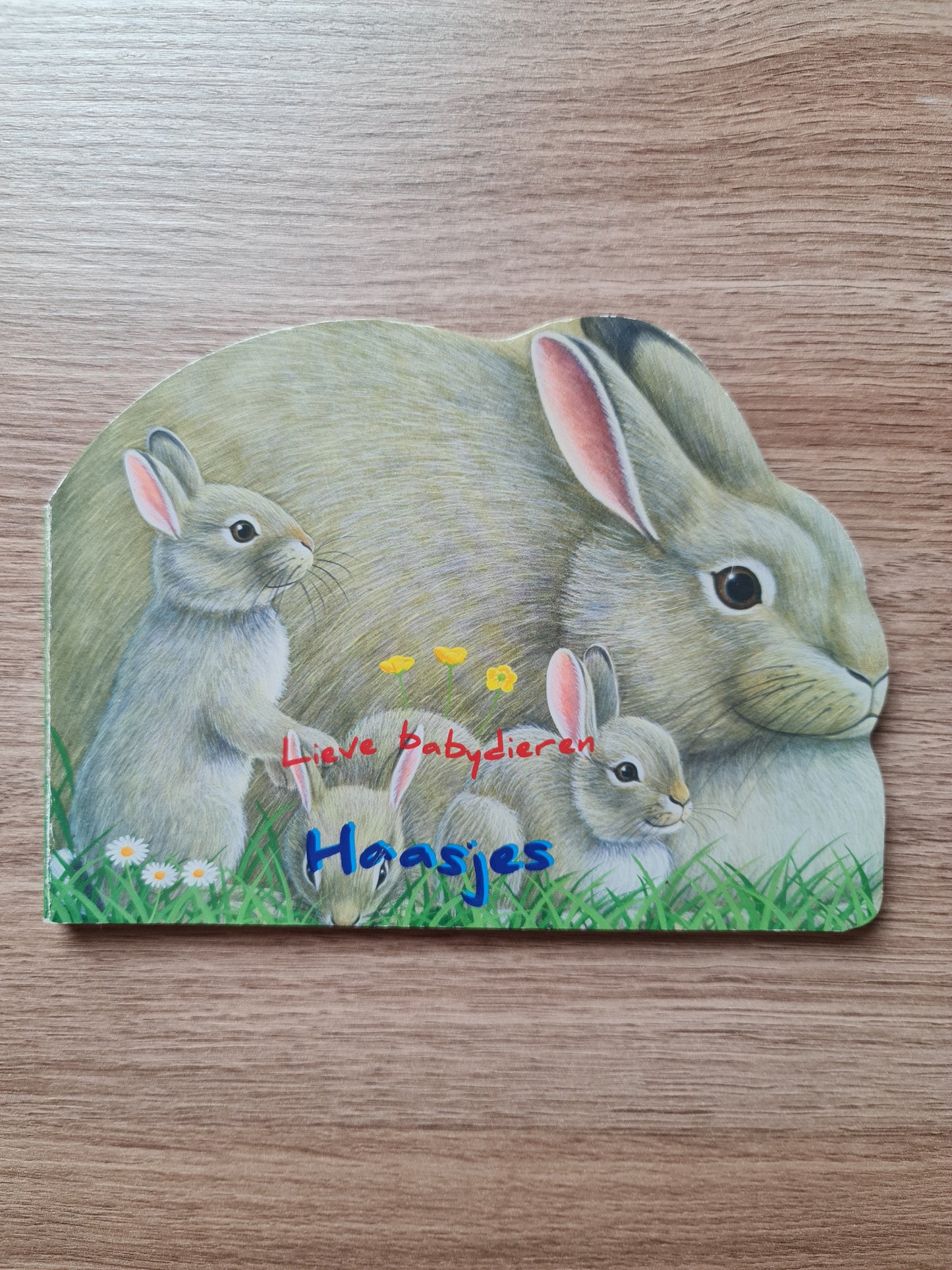 Lieve babydieren: Haasjes Trifora