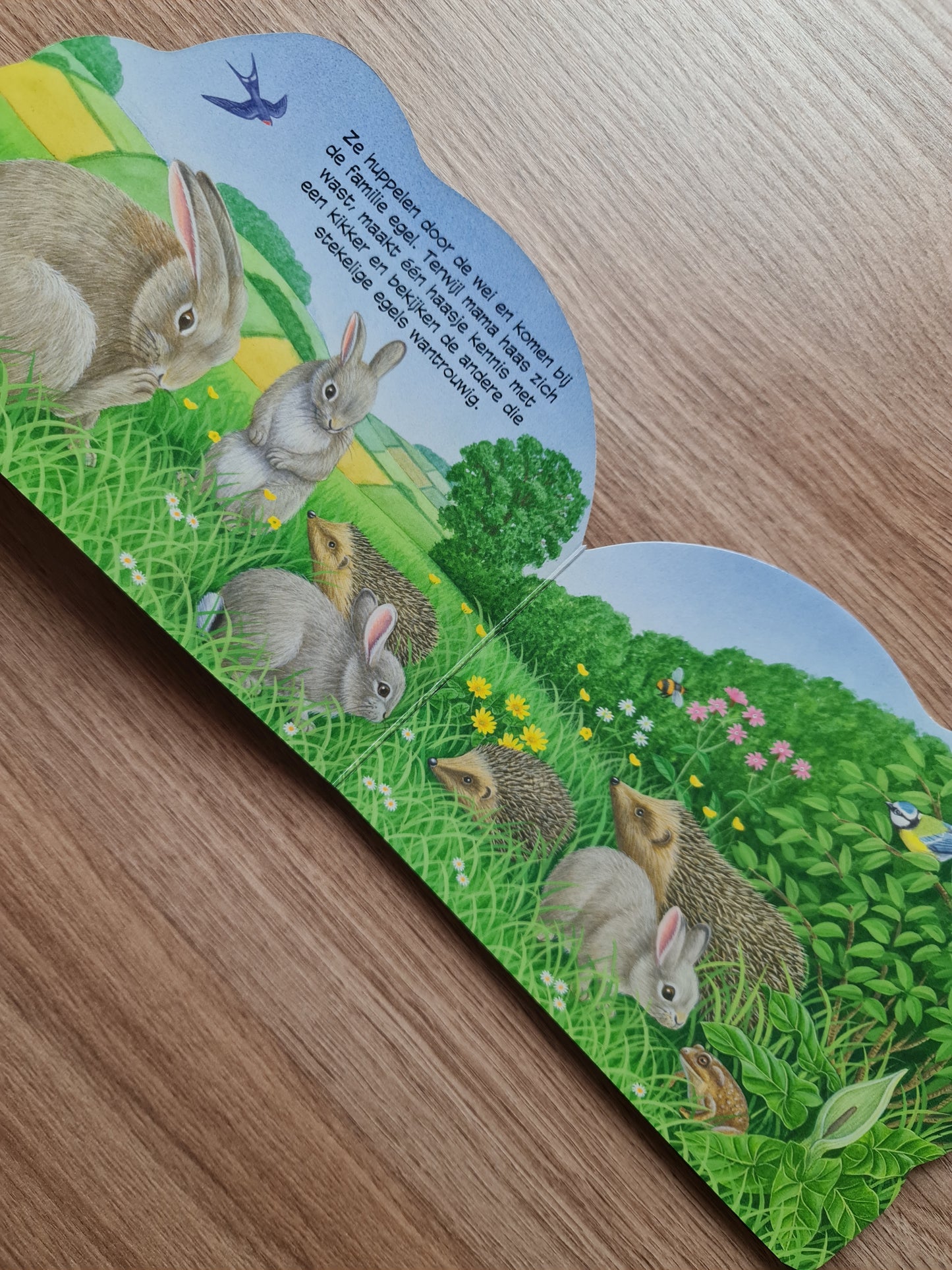 Lieve babydieren: Haasjes Trifora