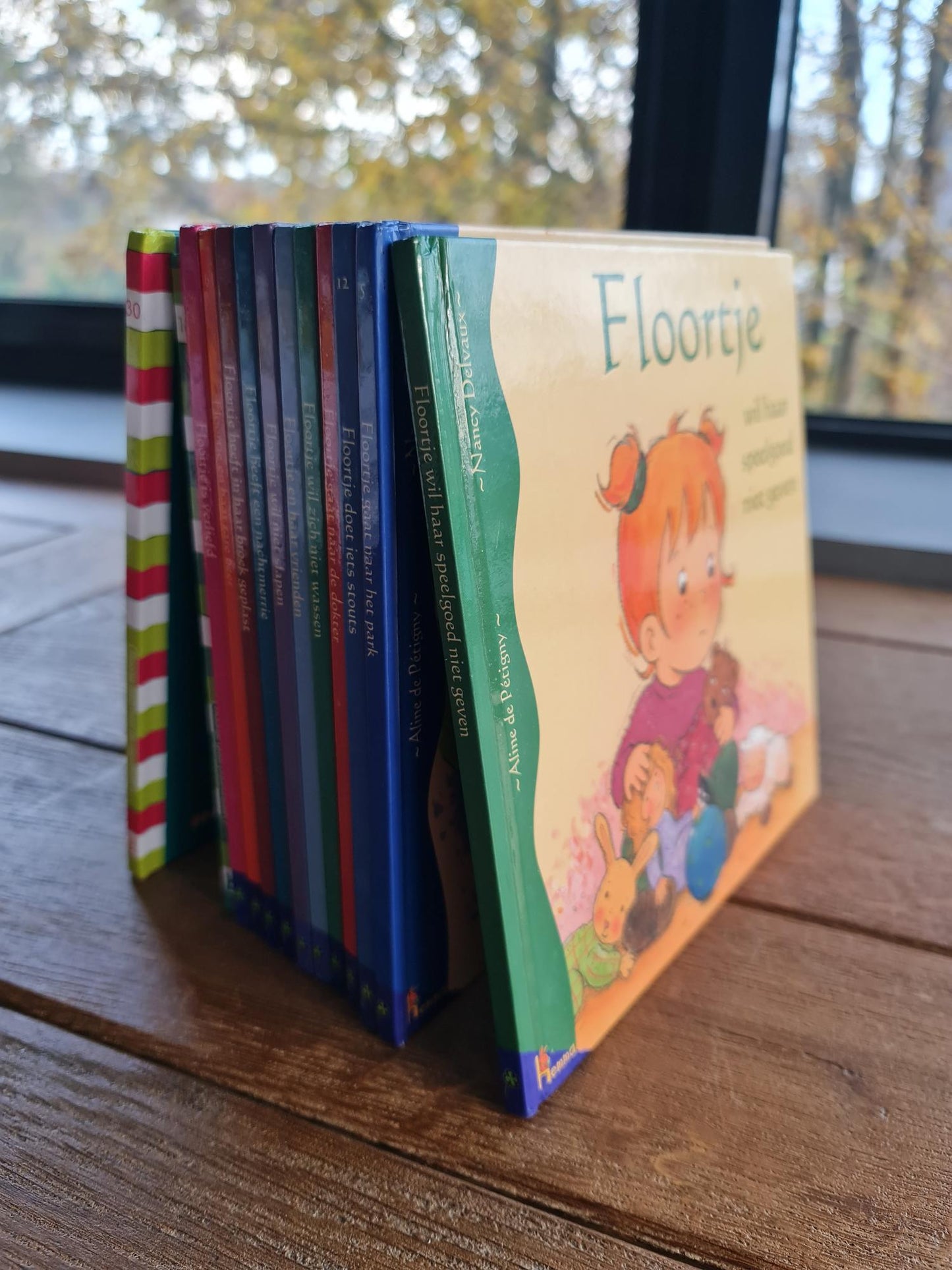 Boekenreeks Floortje Boon