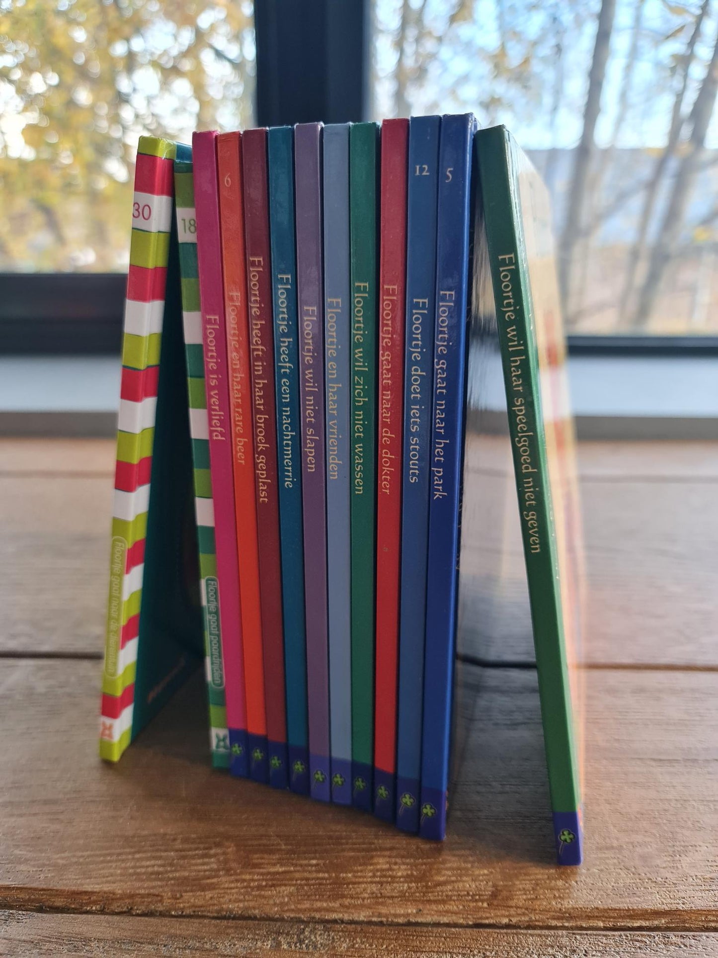 Boekenreeks Floortje Boon