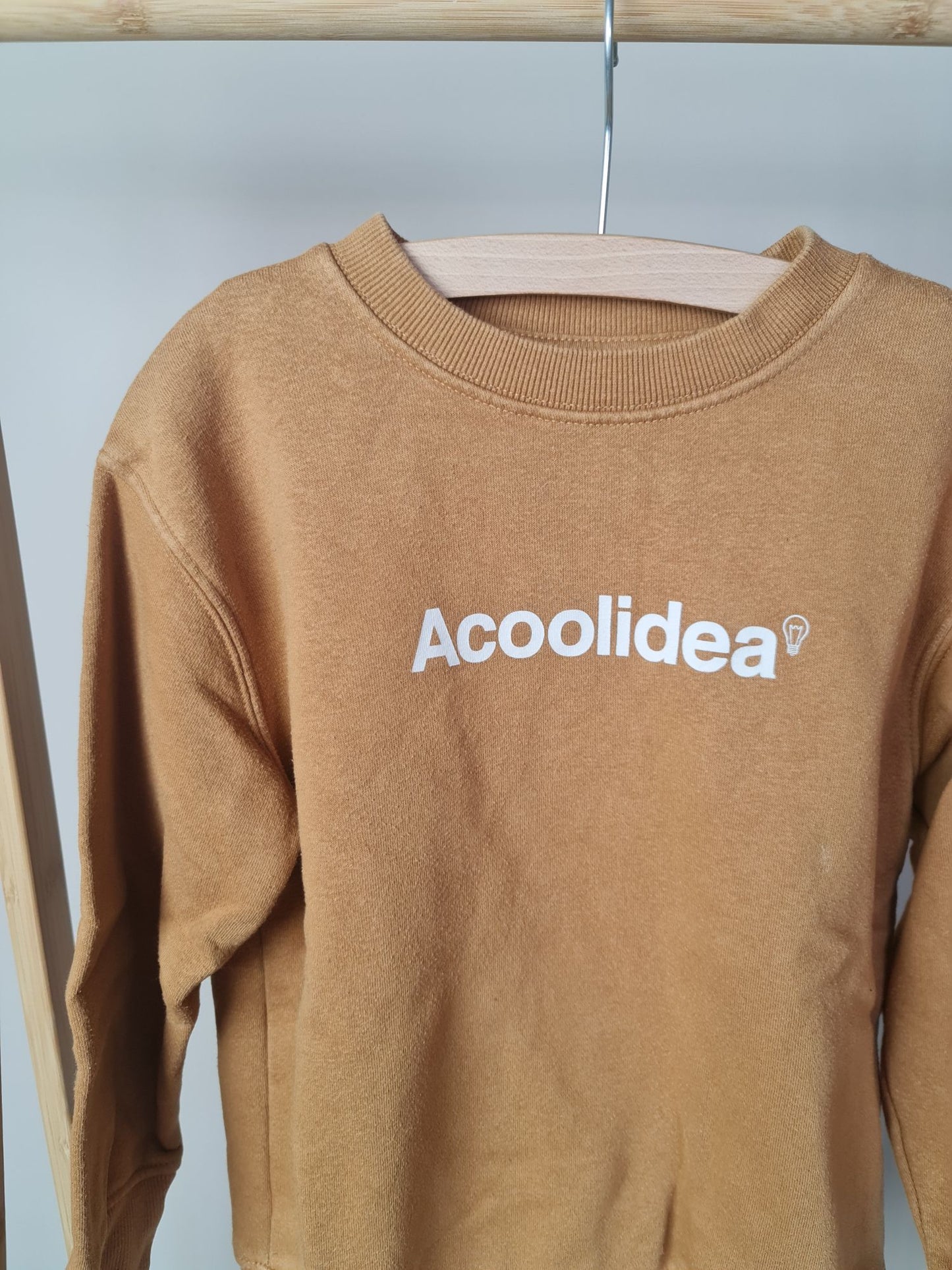 Trui "Acoolidea" 116 Zara