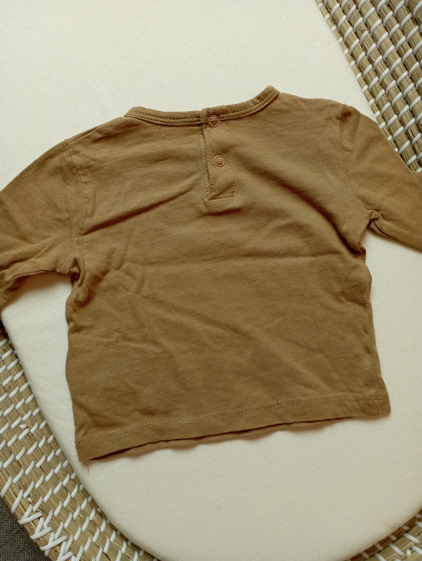 Lognsleeve met leeuw 62