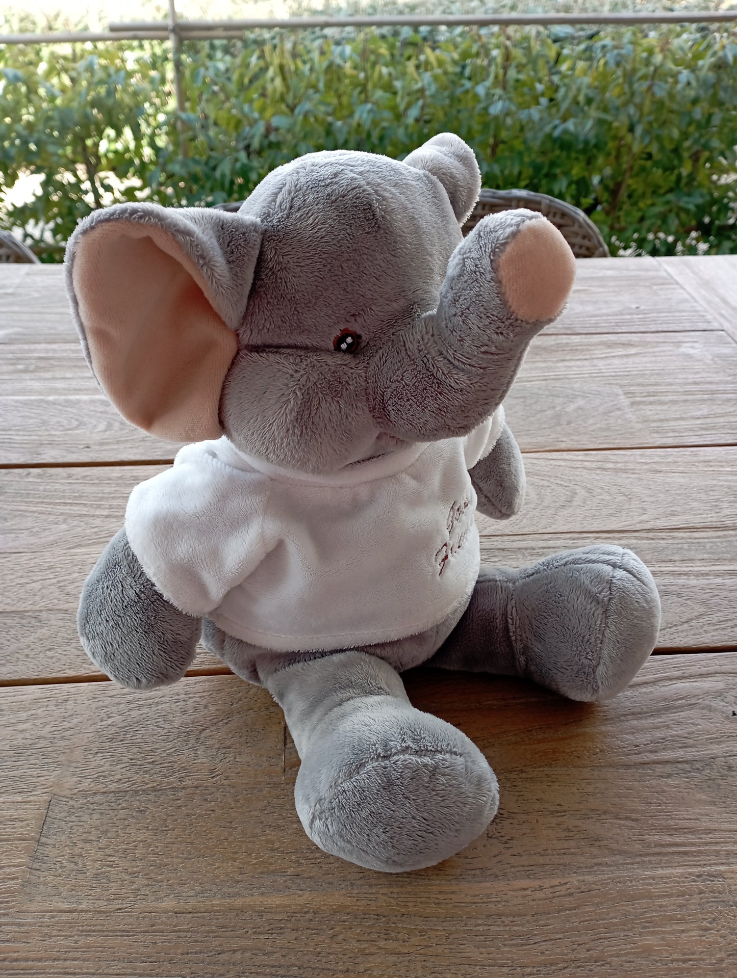 Knuffel Olifant Find JOYs