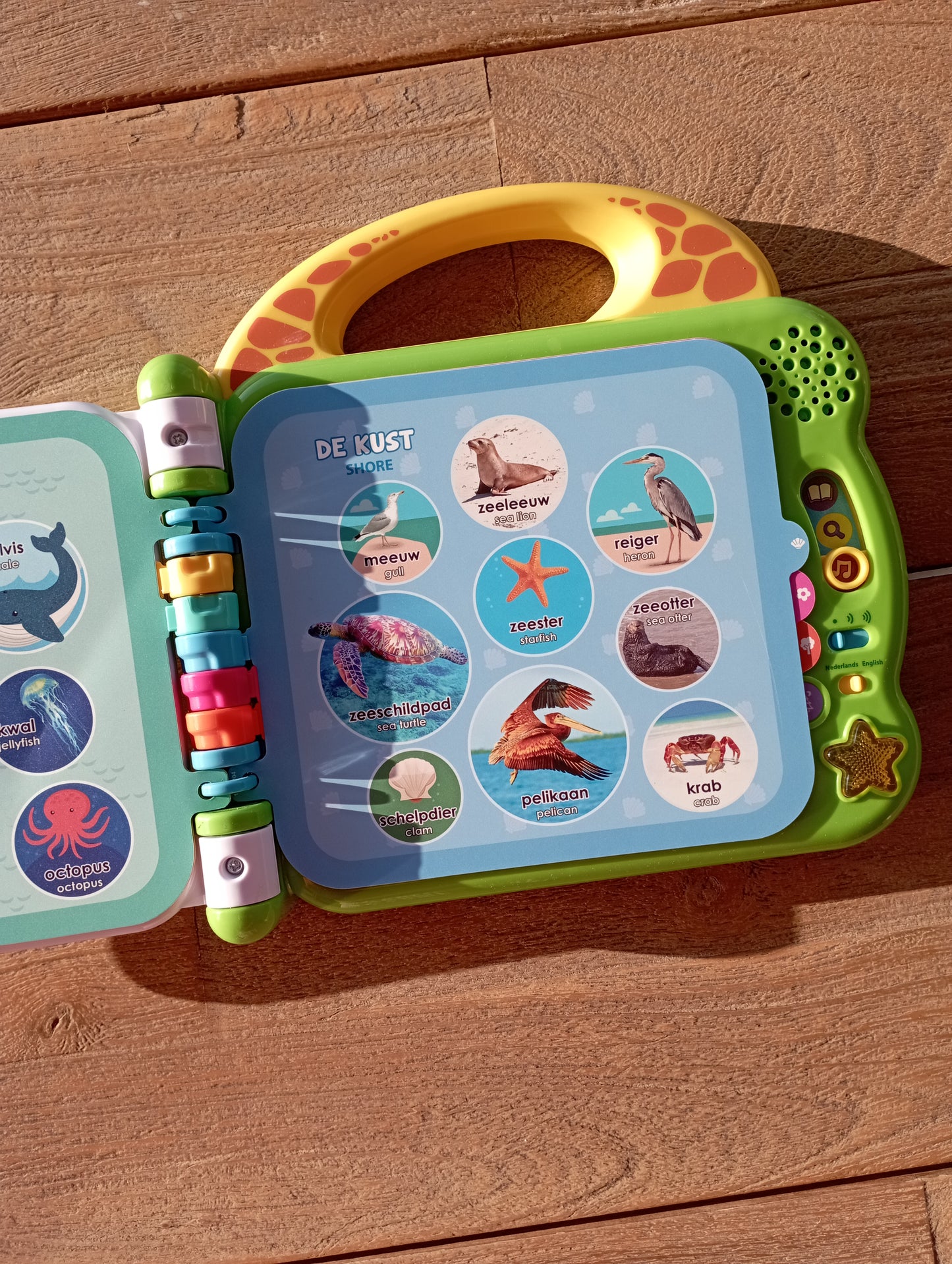 Muziekboek Mijn eerste 100 woordjes - Dieren Vtech