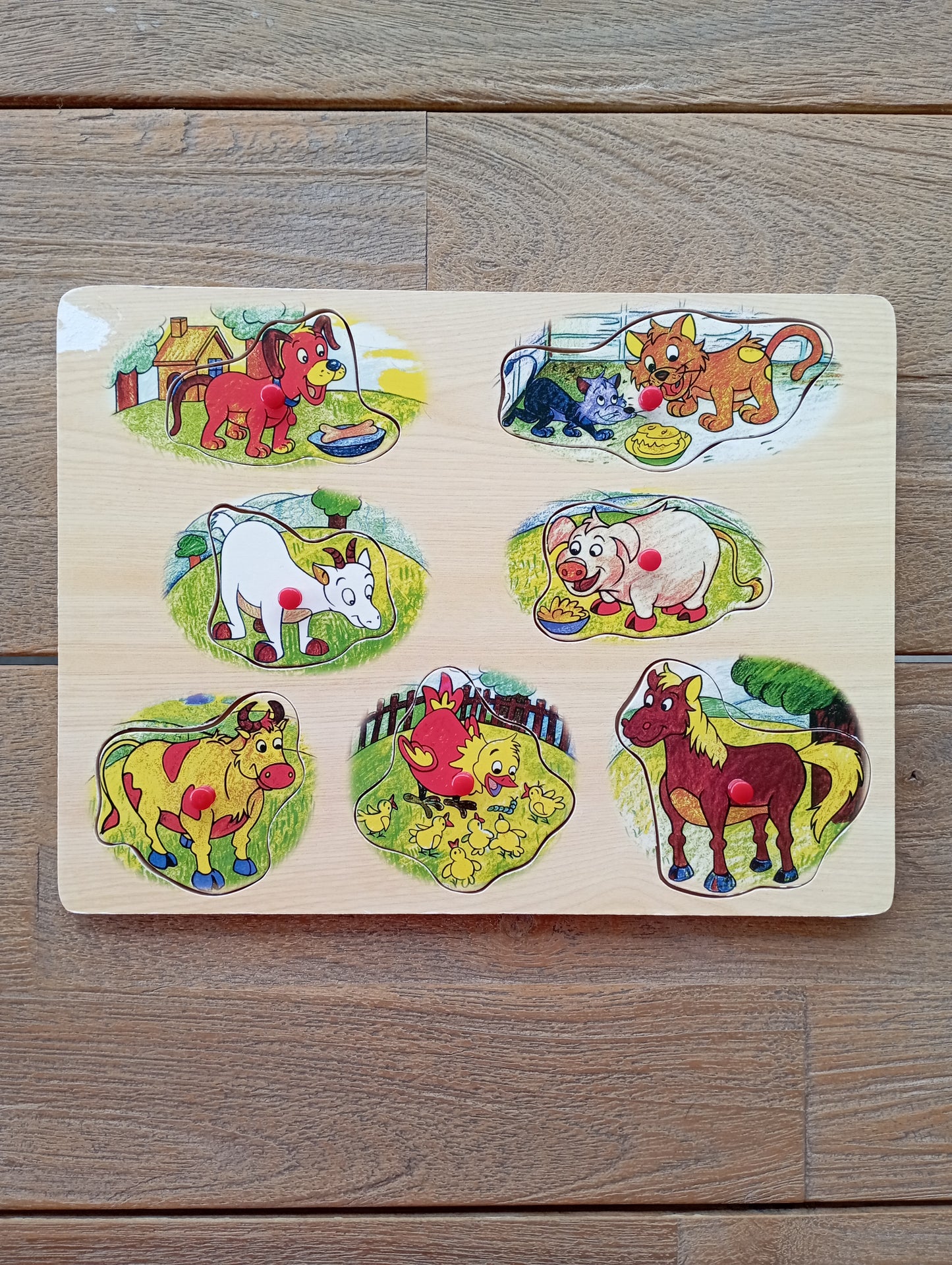 Houten inlegpuzzel Find JOYs