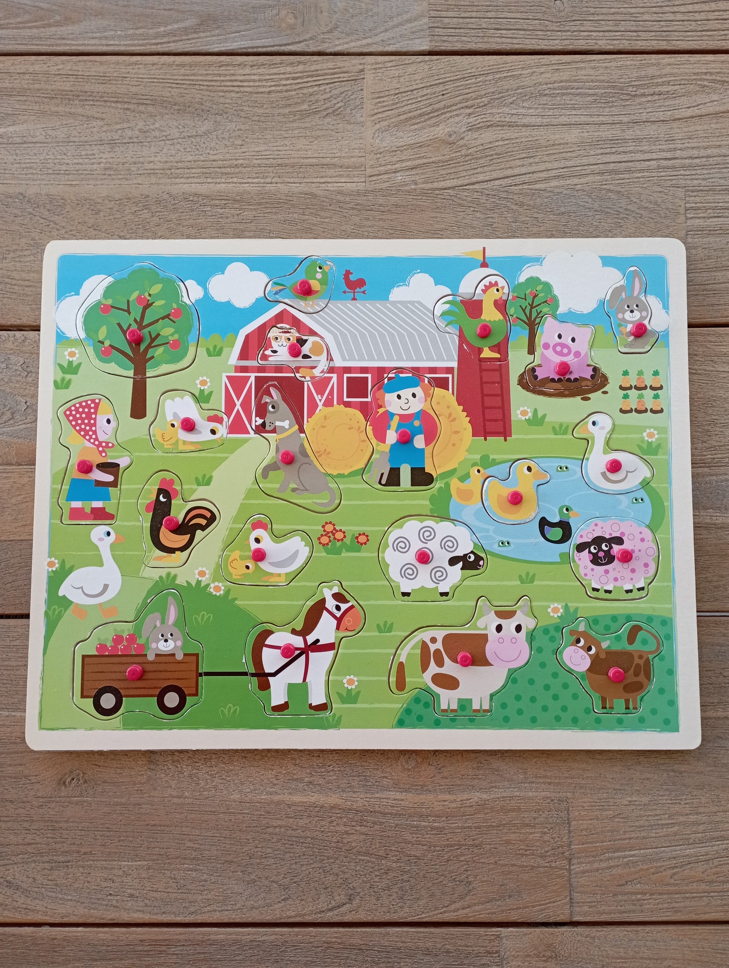 Houten inlegpuzzel Find JOYs