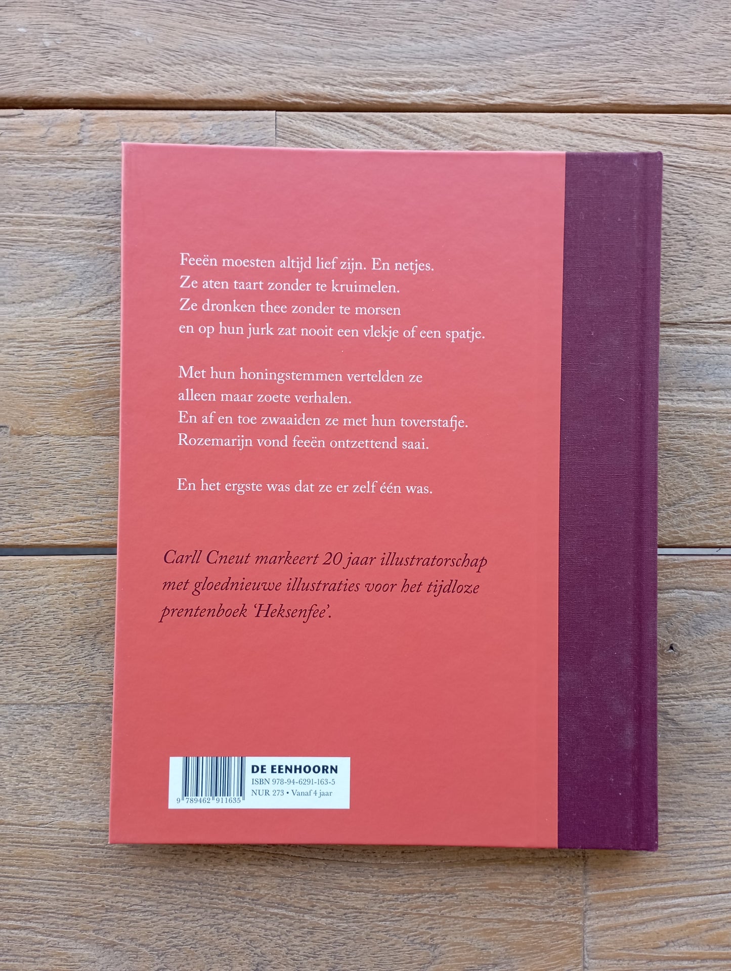 Heksenfee - Brigitte Minne De Eenhoorn