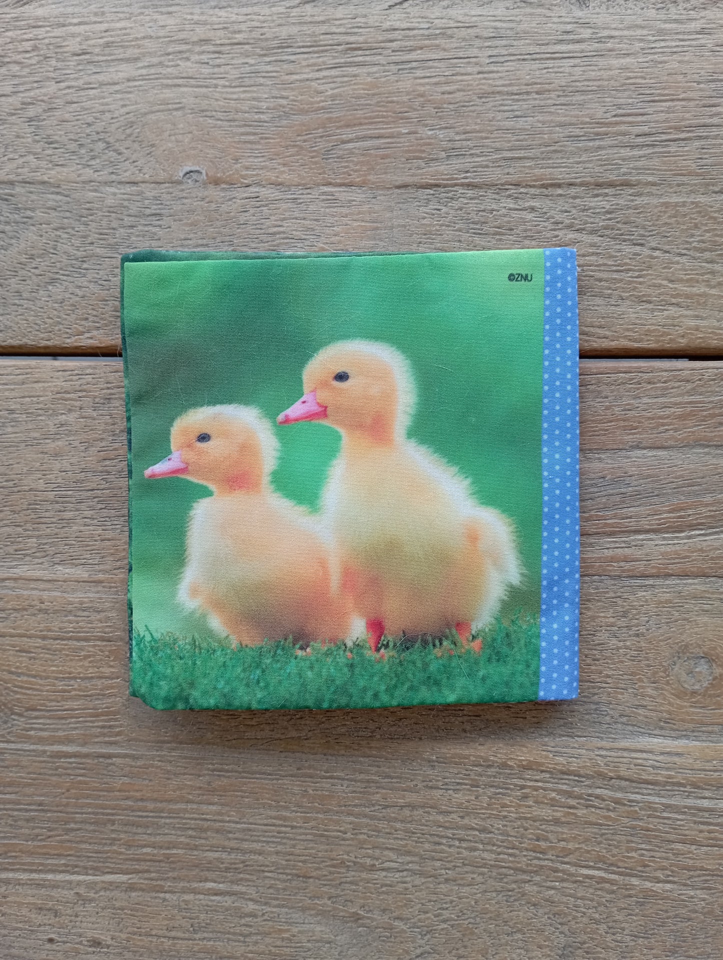 Knisperboekje - Find JOYs