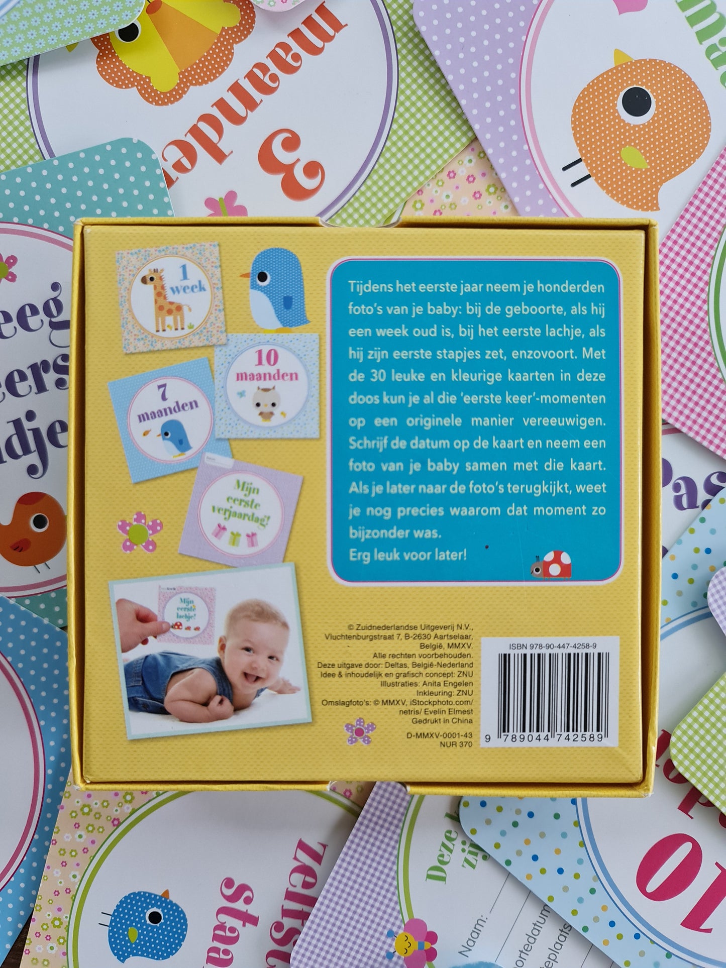Mijlpaarkaarten Fisher Price