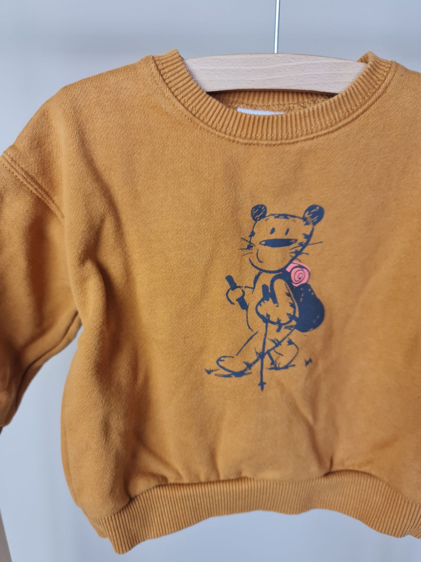 Trui met tijger 86 Zara