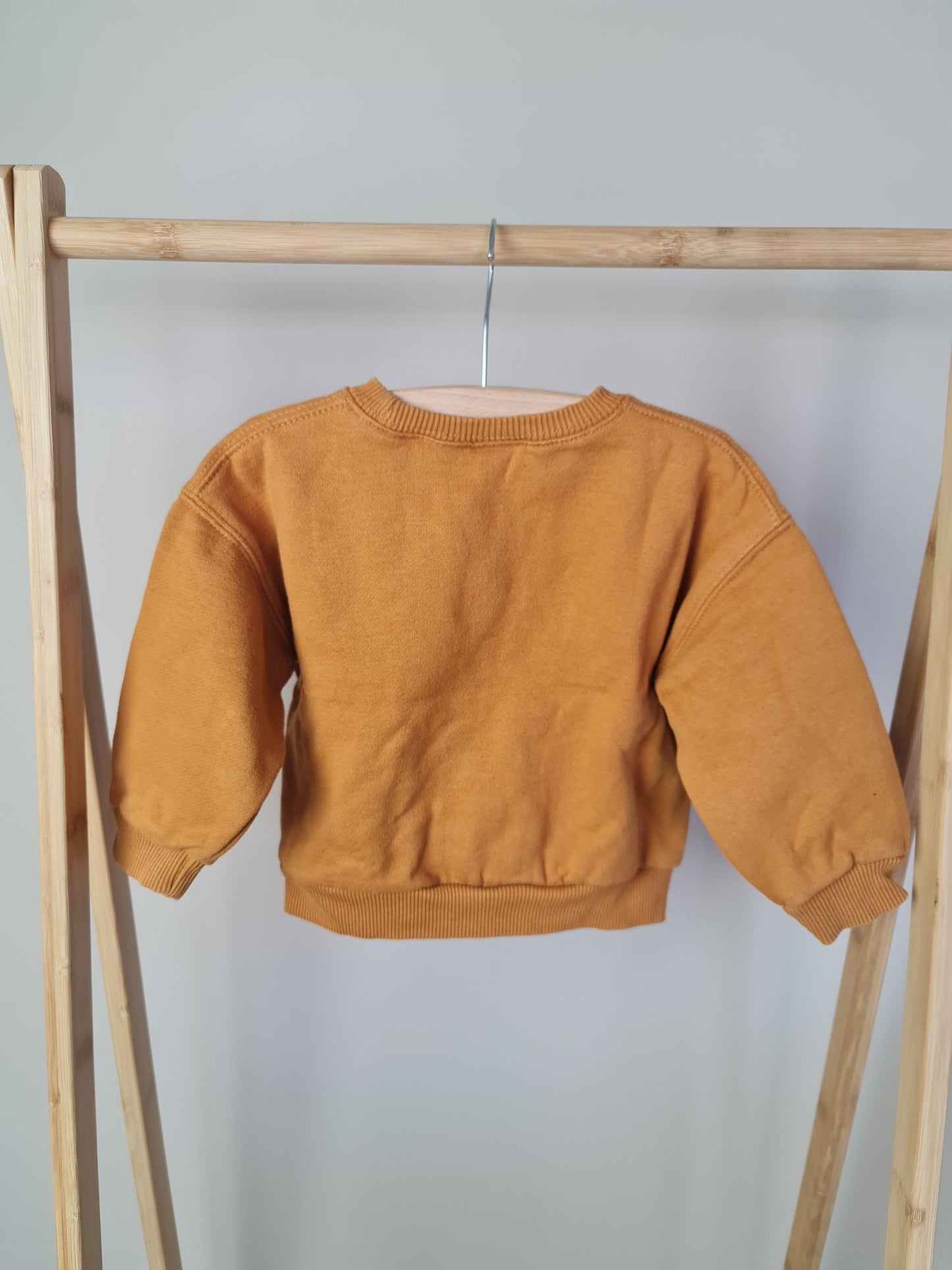 Trui met tijger 86 Zara