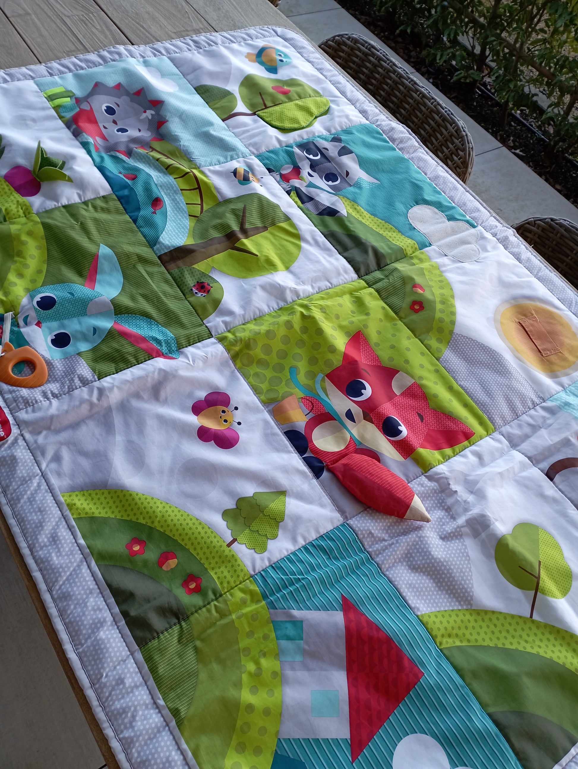 Speelmat 100x150cm Tiny Love