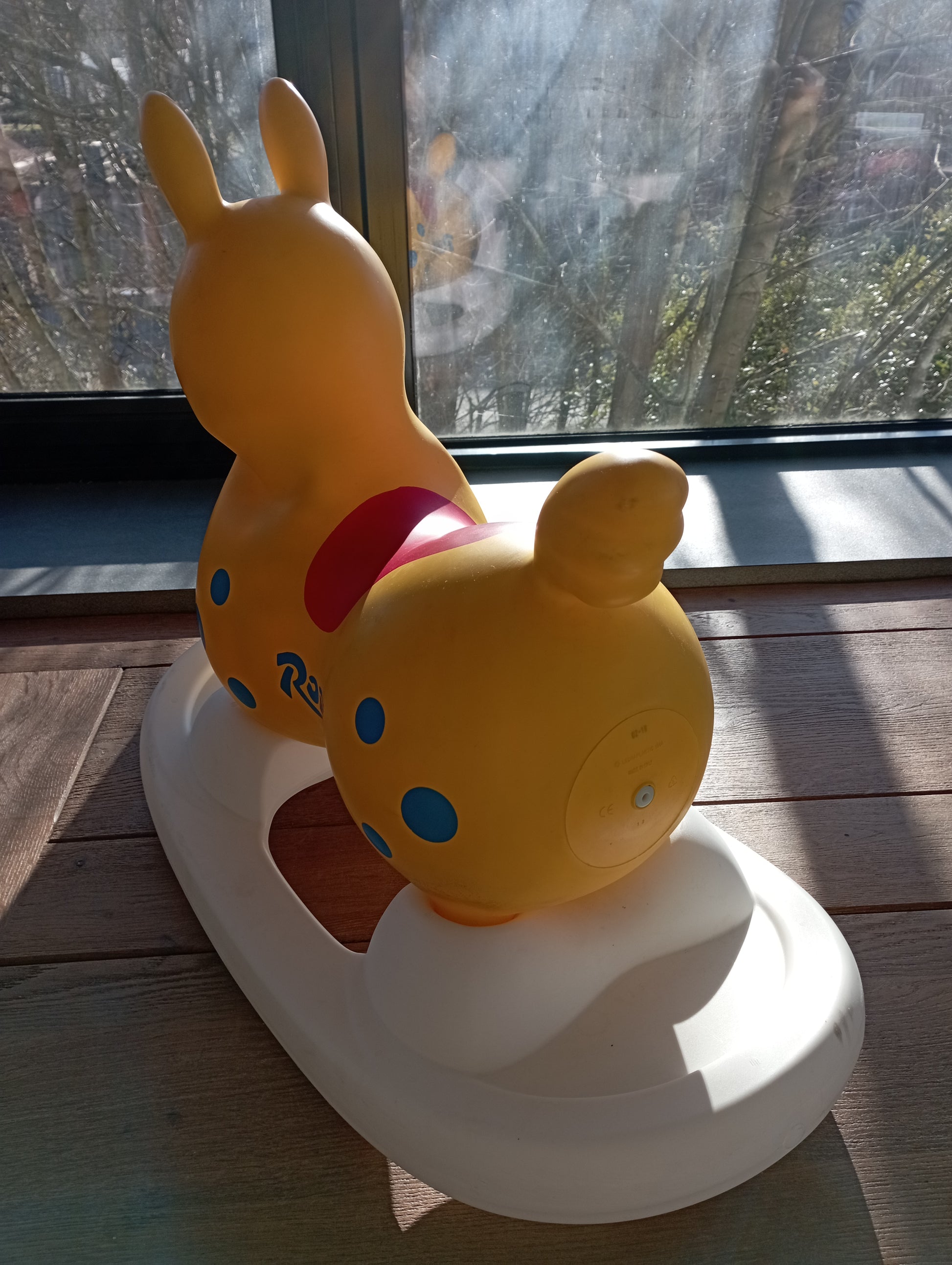 Rody De pony met wip Wesco