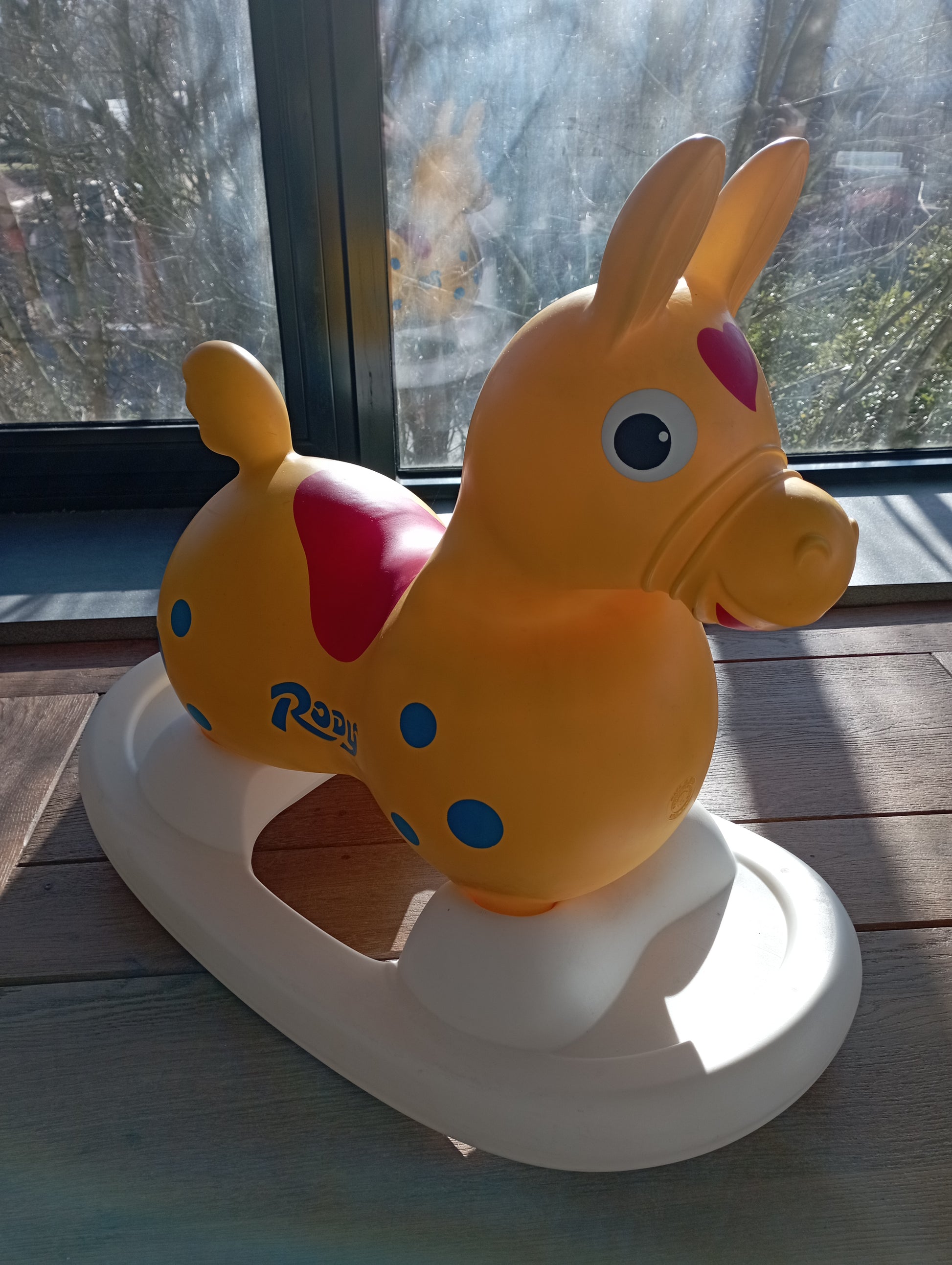 Rody De pony met wip Wesco