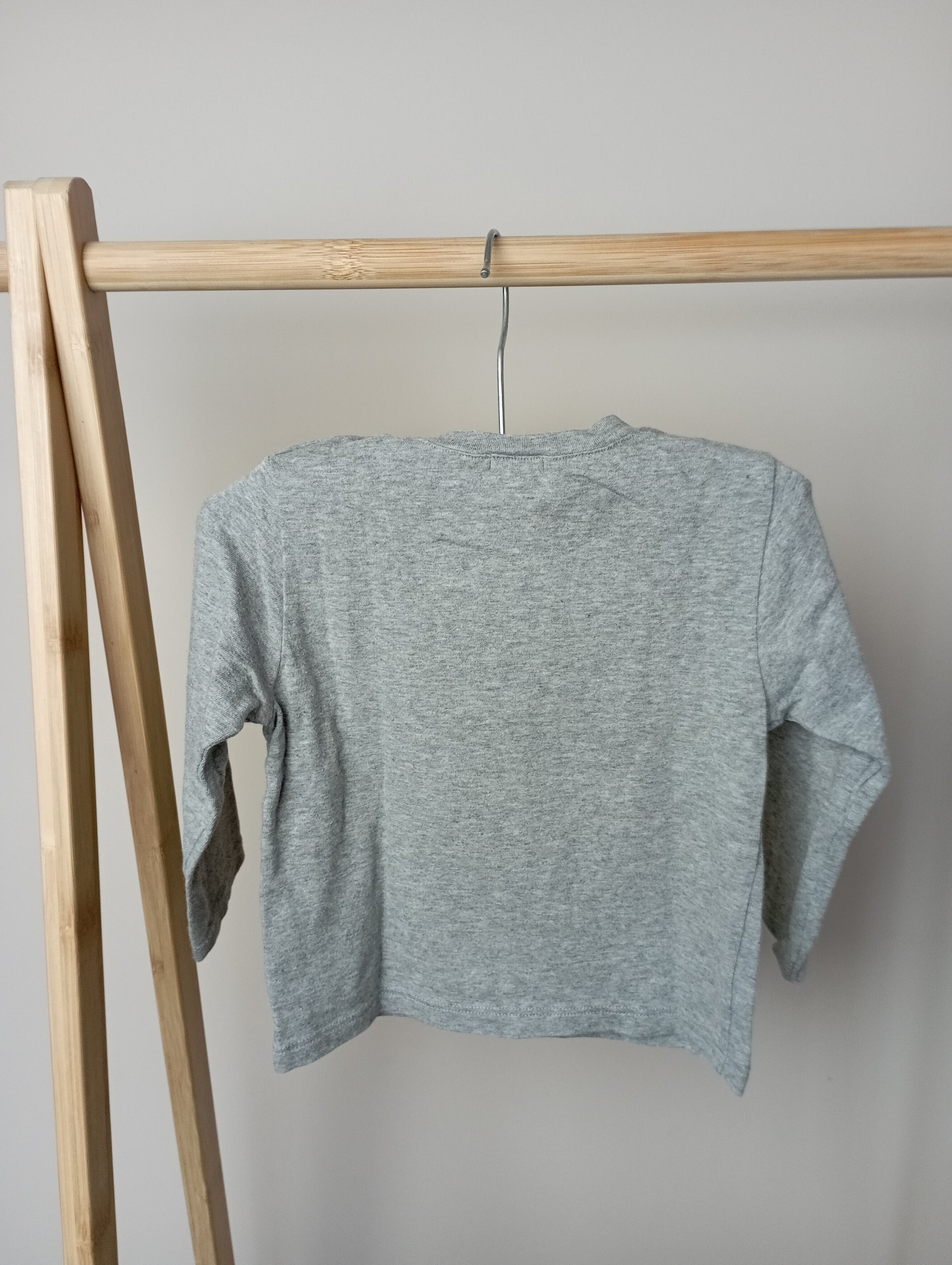 Longsleeve met leeuw 80 GYMP