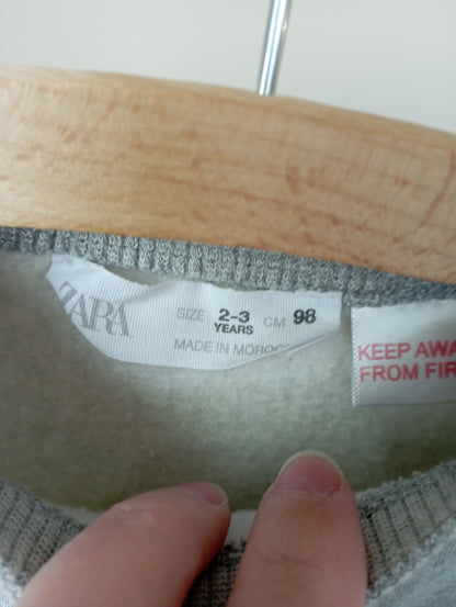 Jurk met tule rok 98 Zara