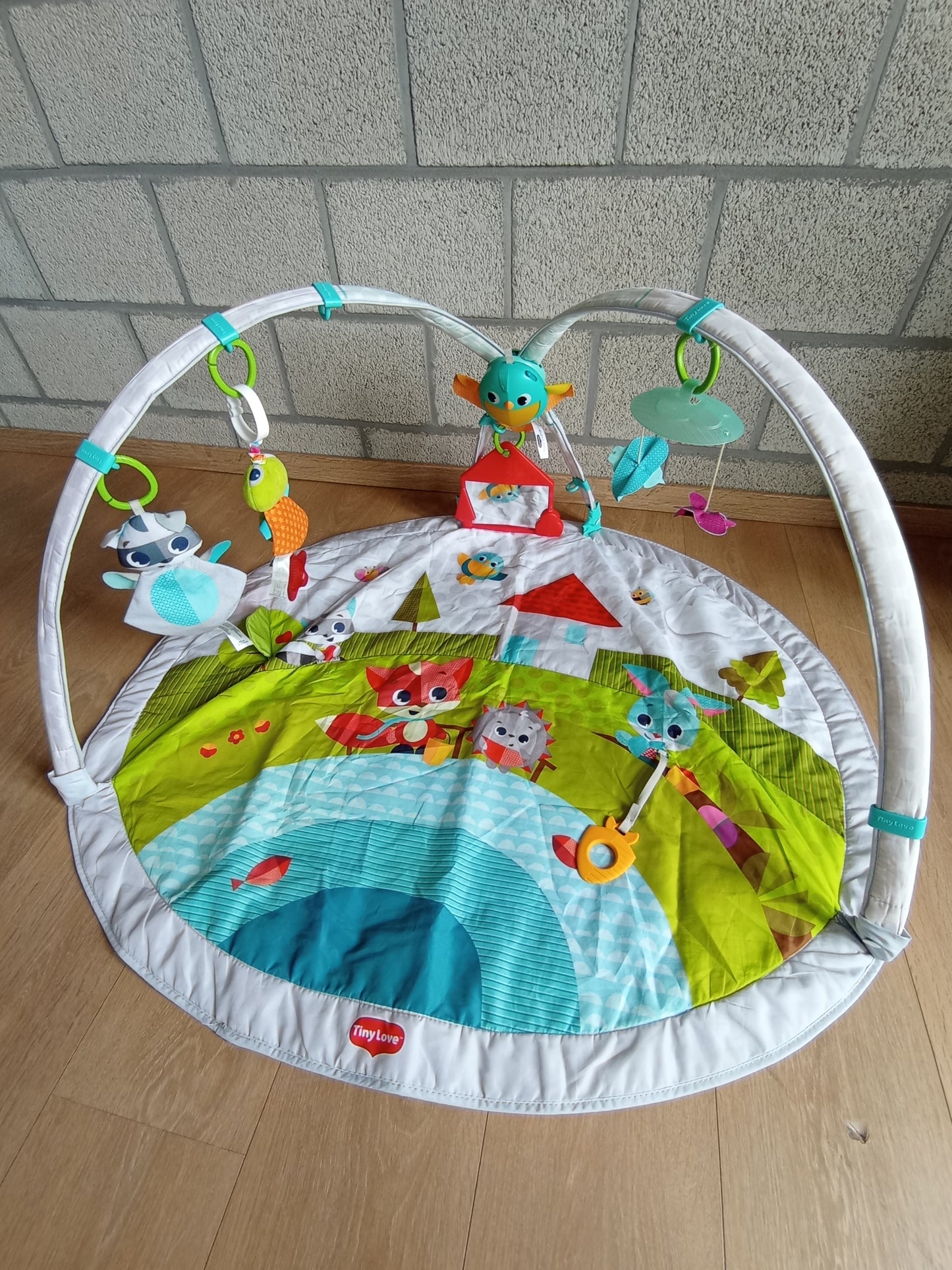 Speelmat voor baby's met buikligtrainer (110x90cm) Tiny Love