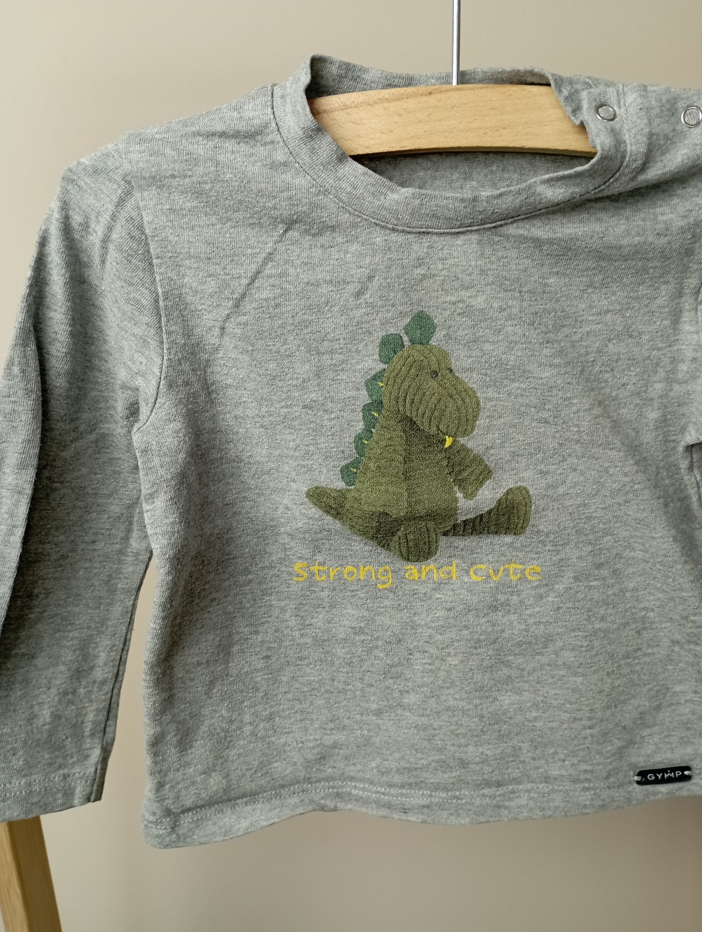 Longsleeve met dino 74 GYMP
