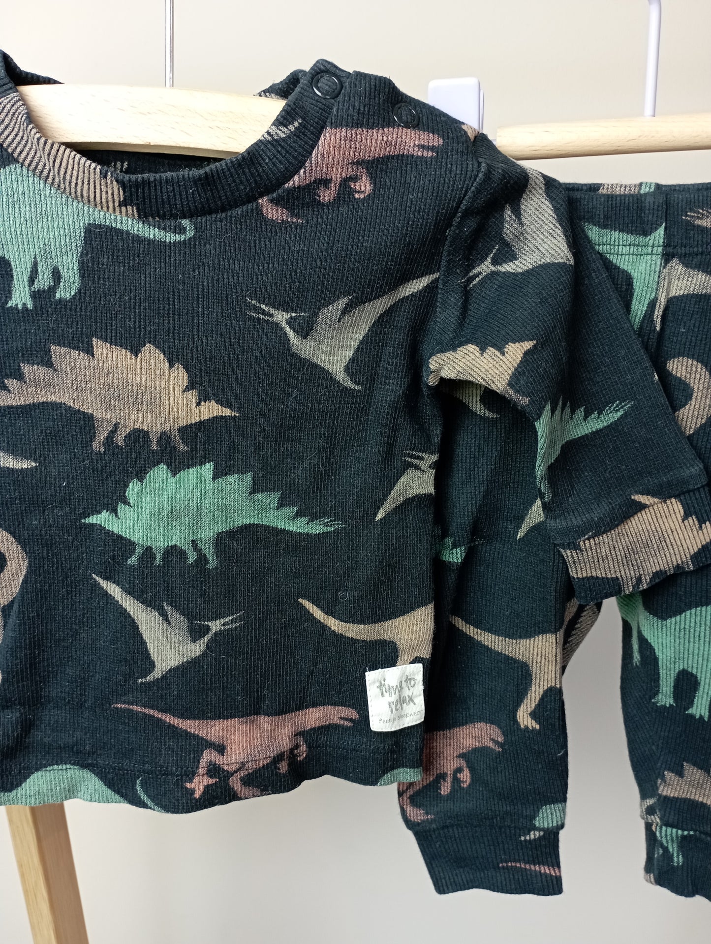 Setje met dino's 56 Feetje