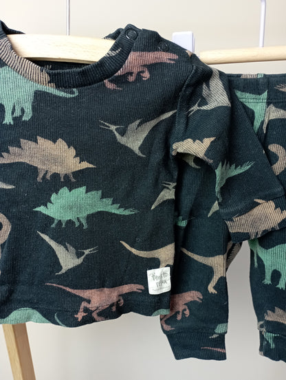 Setje met dino's 56 Feetje