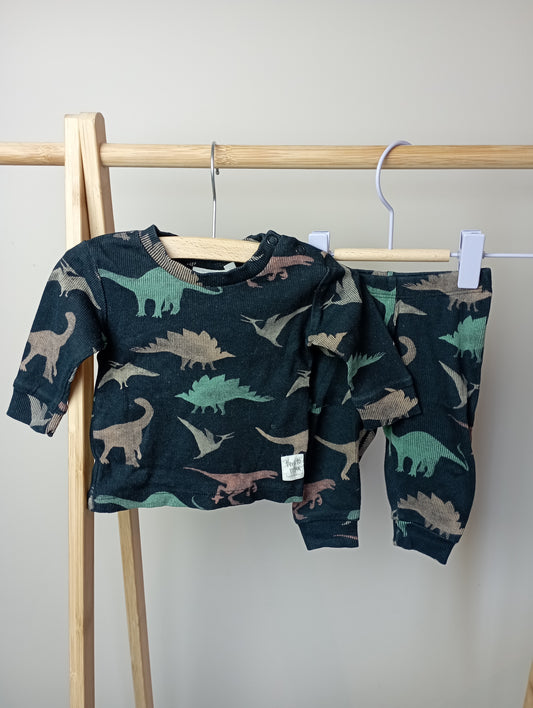 Setje met dino's 56 Feetje