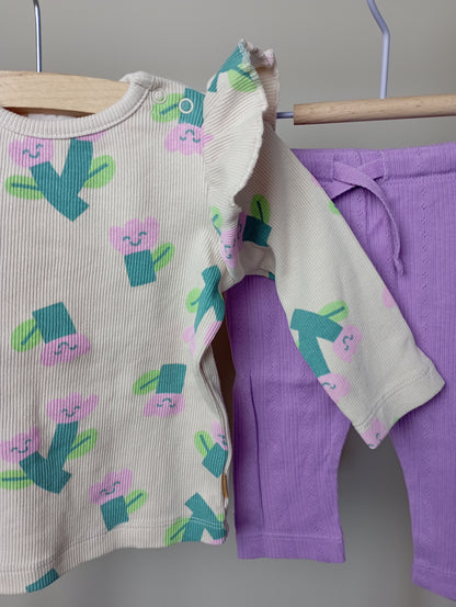 Setje met tulpen 62 Hema