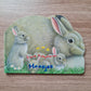 Lieve babydieren: Haasjes Trifora