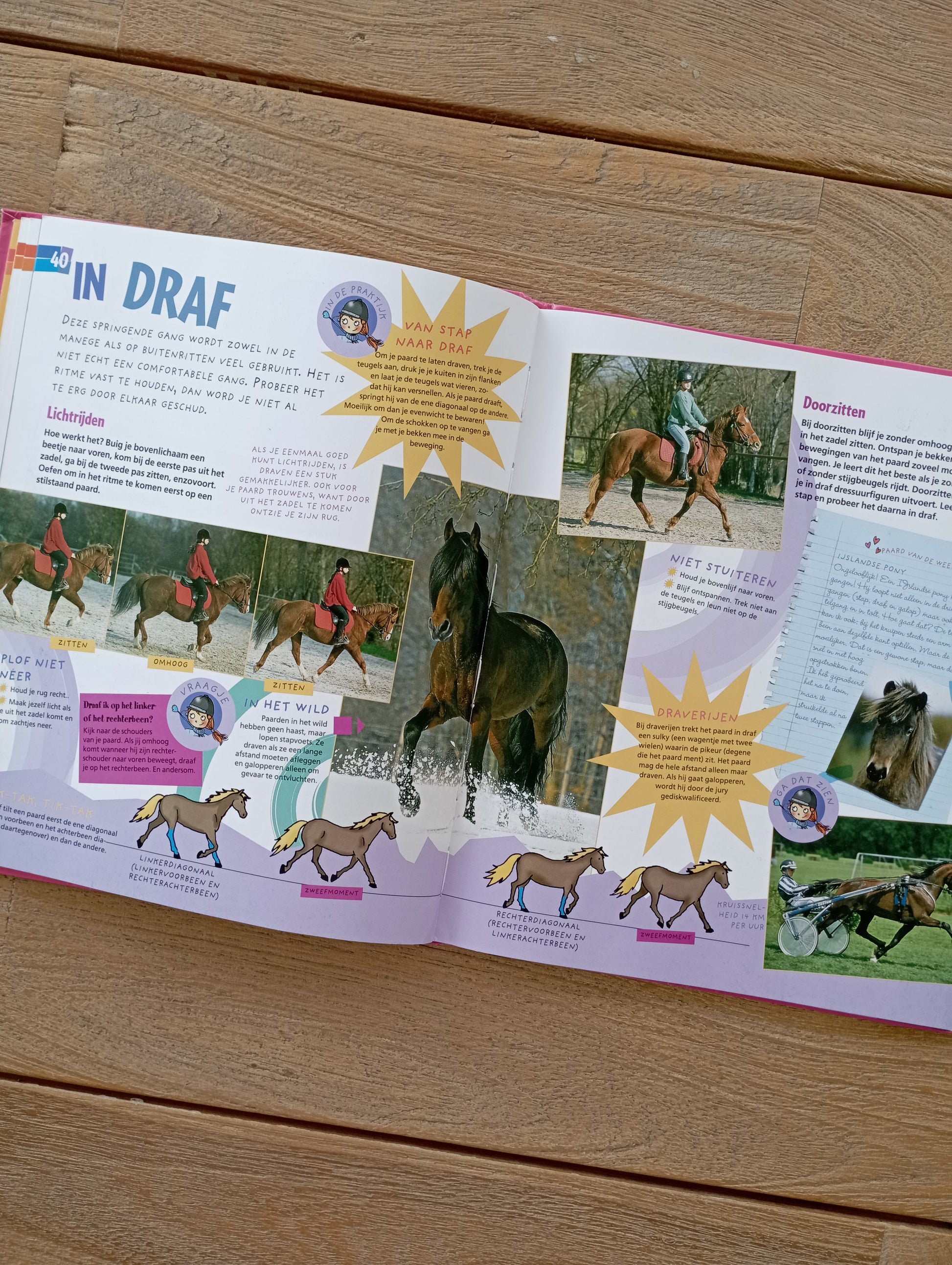 For girls only - Mijn paardenboek Standaard Uitgeverij