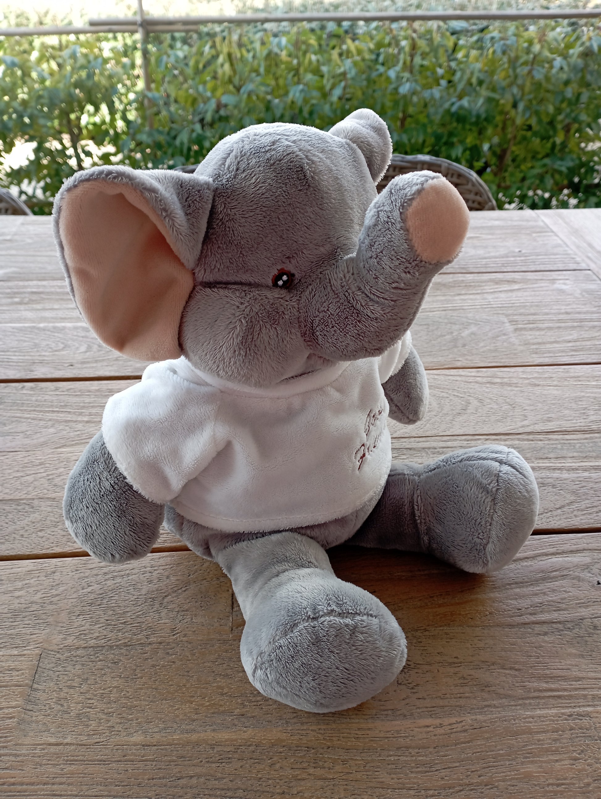 Knuffel Olifant Find JOYs
