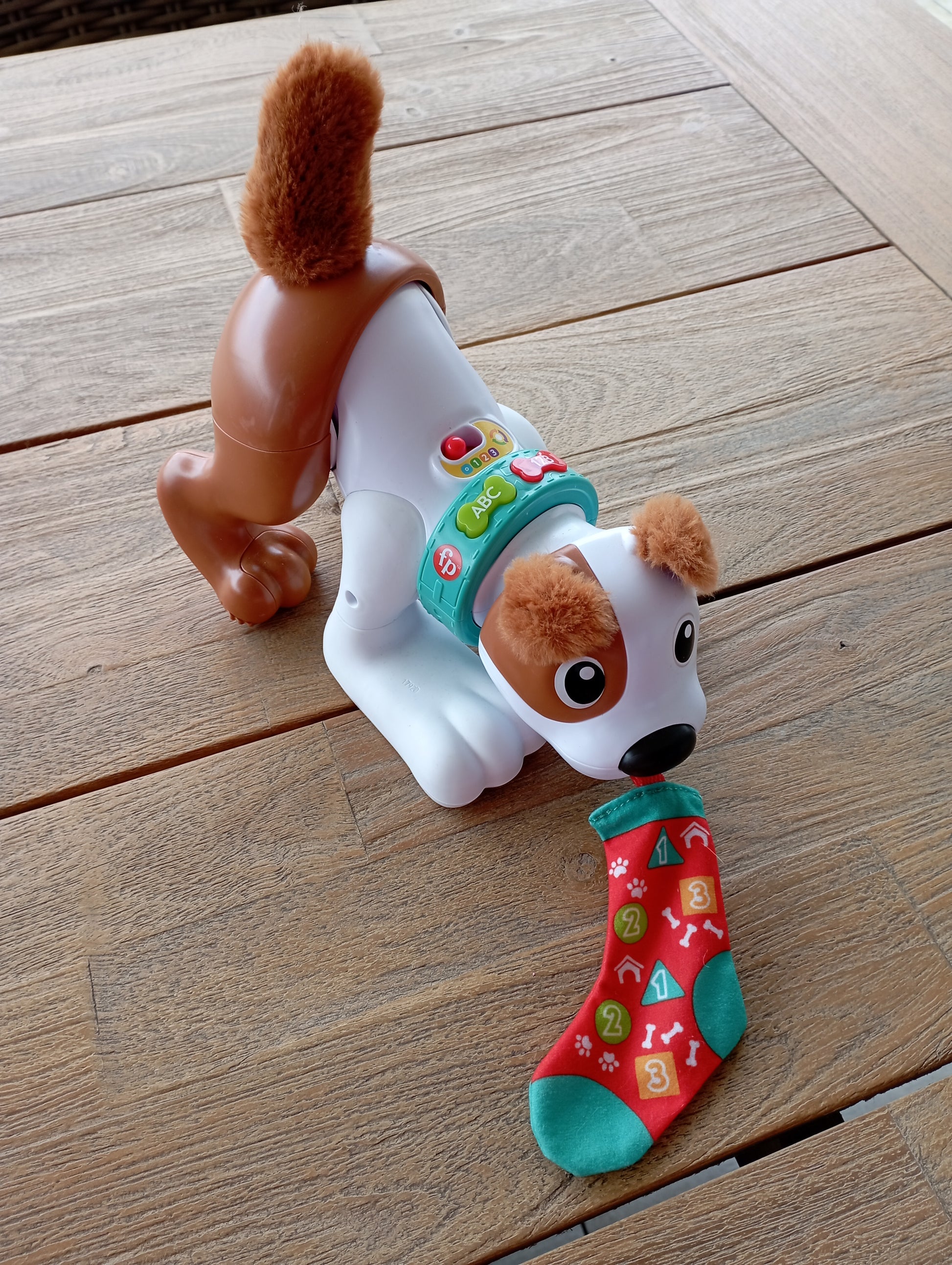 123 Kruip met mij Puppy Fisher Price