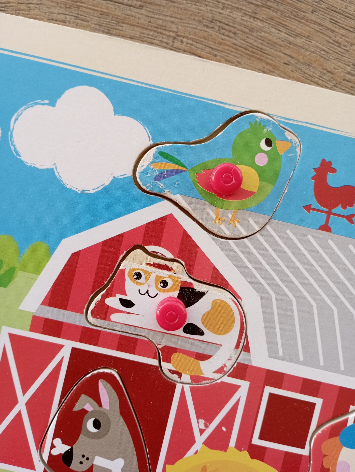 Houten inlegpuzzel Find JOYs
