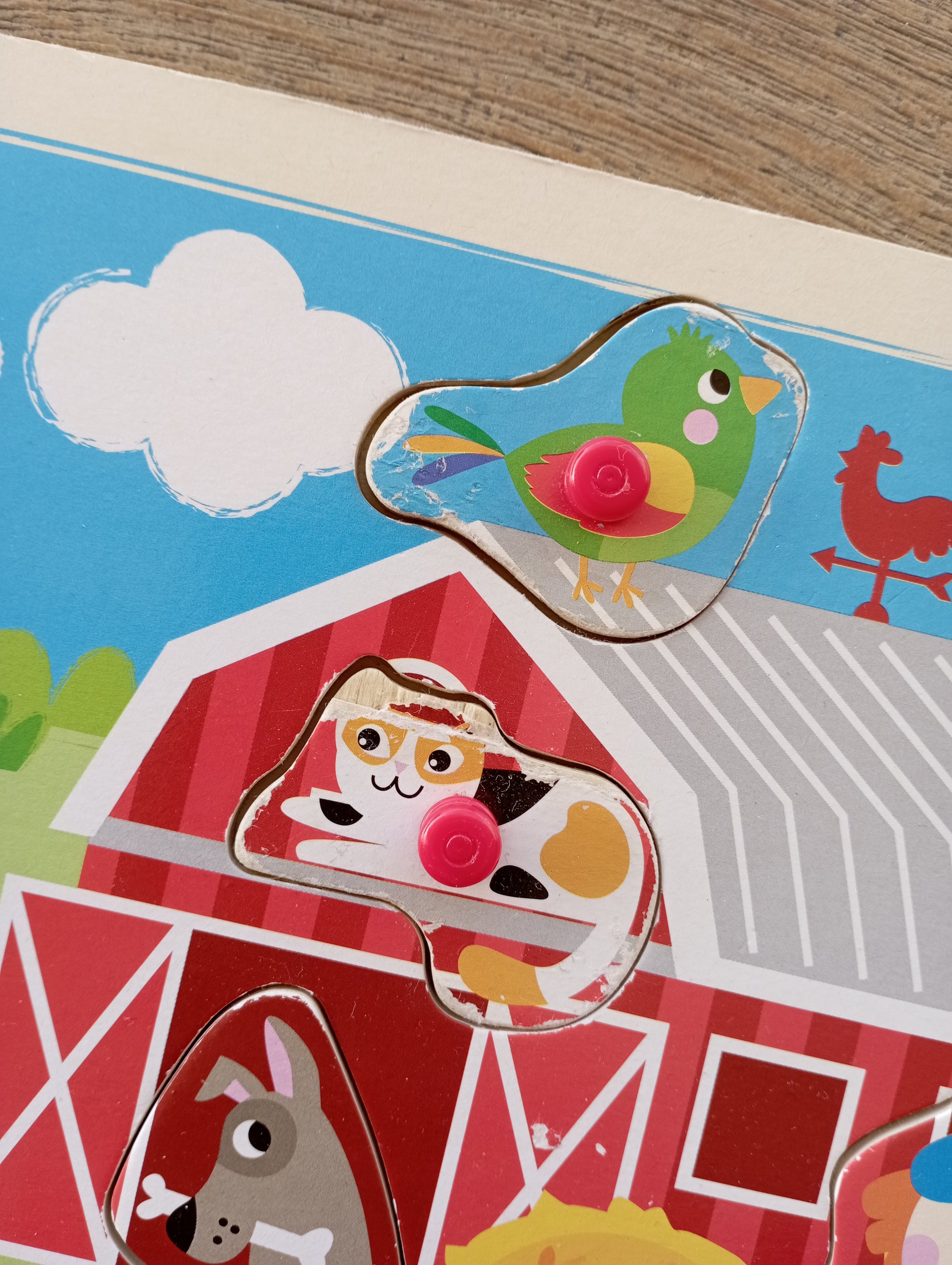 Houten inlegpuzzel Find JOYs