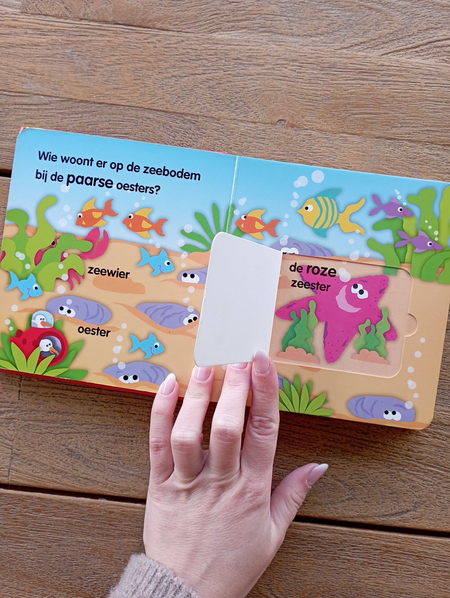 Vormen, kleuren en tegenstellingen Yoyo Books