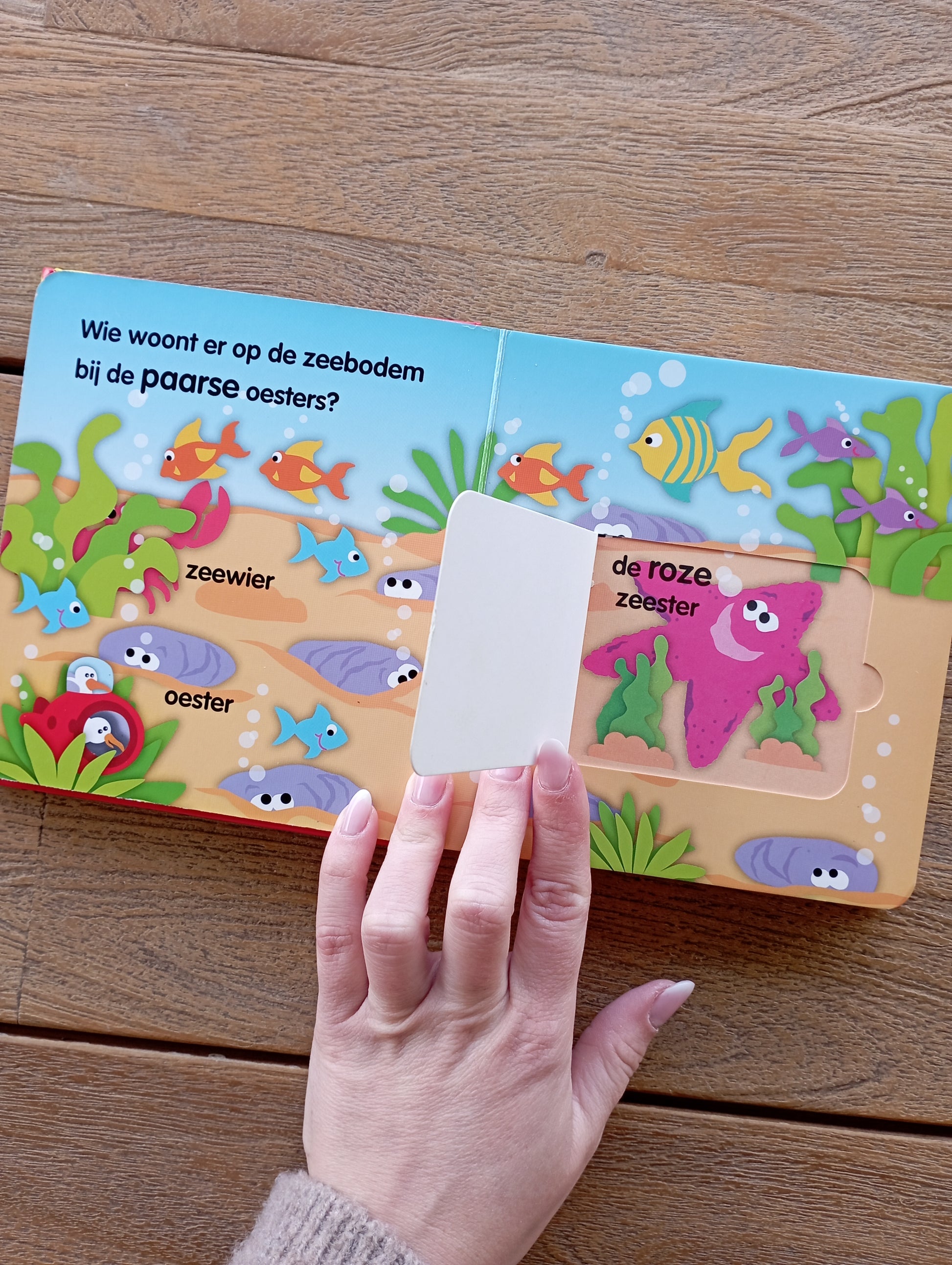 Vormen, kleuren en tegenstellingen Yoyo Books