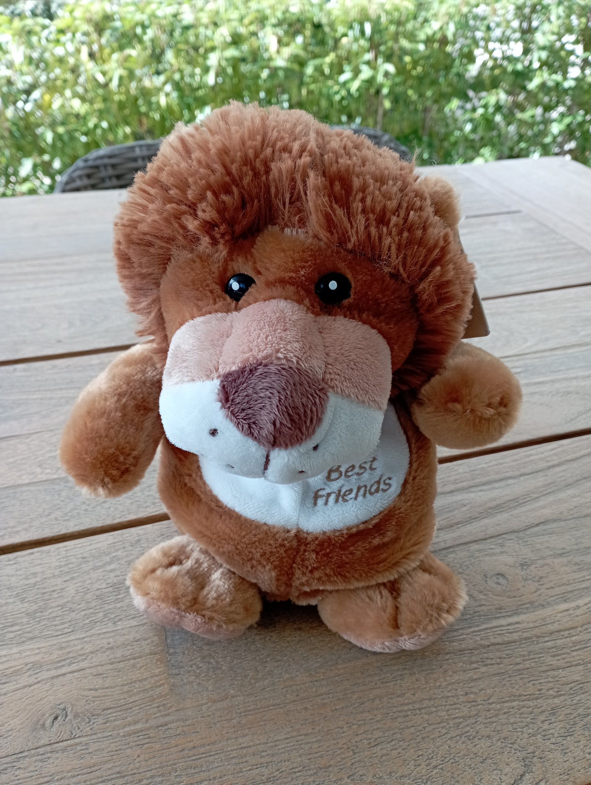 Handpop Leeuw - Nicotoy