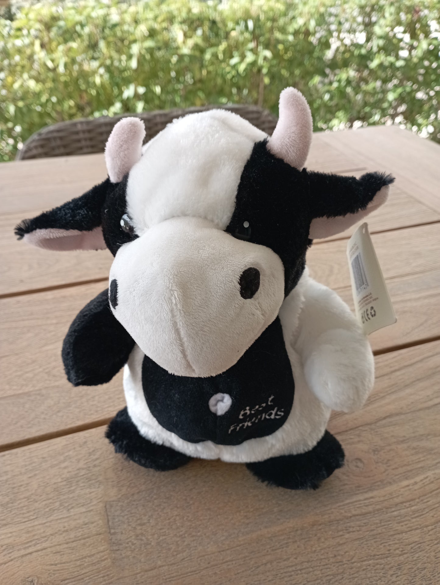 Handpop Koe - Nicotoy