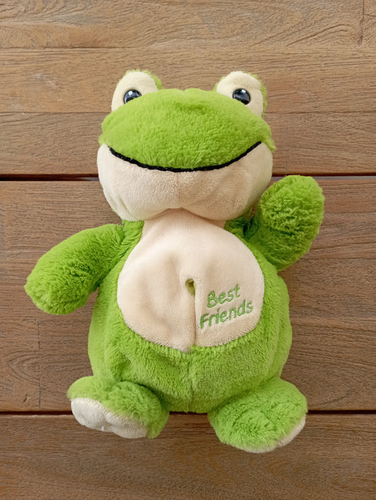 Handpop Kikker - Nicotoy