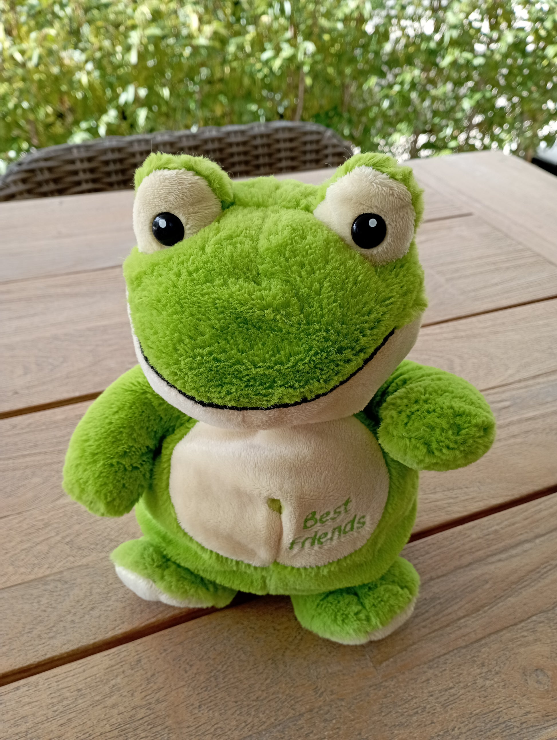 Handpop Kikker - Nicotoy