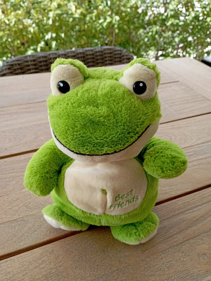 Handpop Kikker - Nicotoy