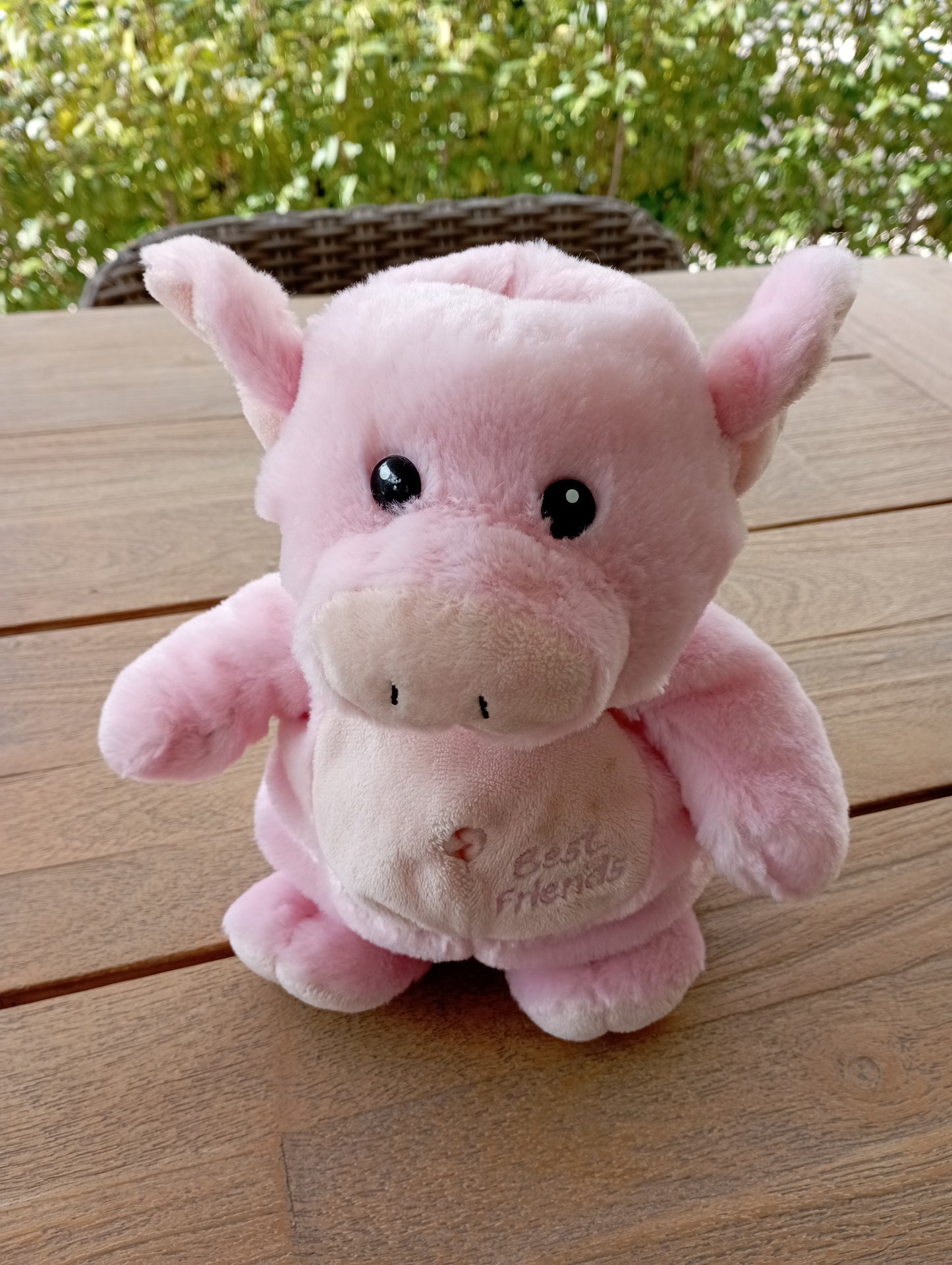 Handpop Varkentje - Nicotoy