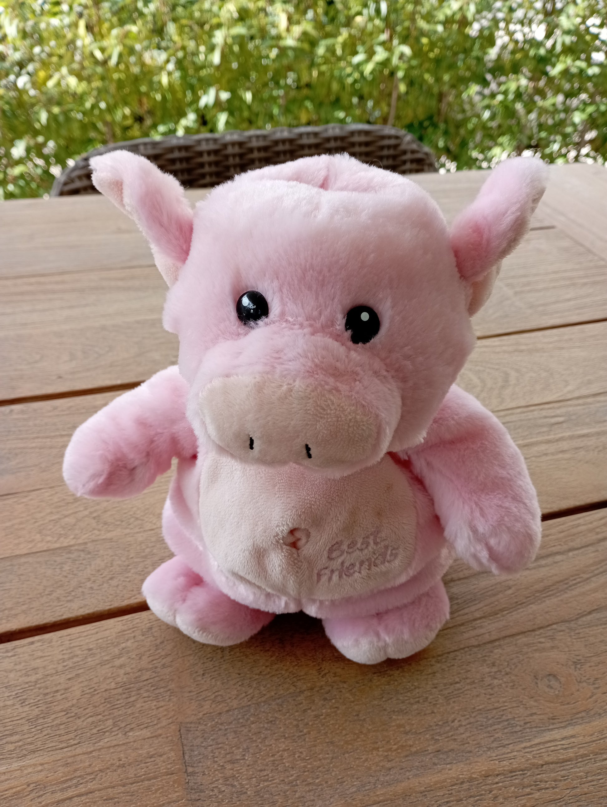 Handpop Varkentje - Nicotoy