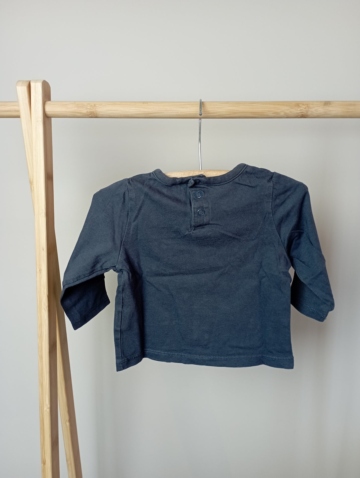 Longsleeve met leeuw 9m TAO