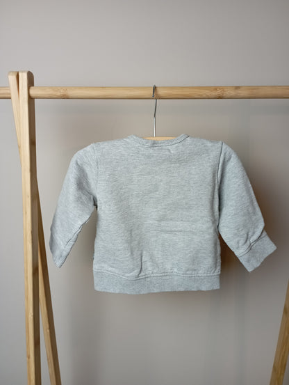 Trui met muis 74 Hema