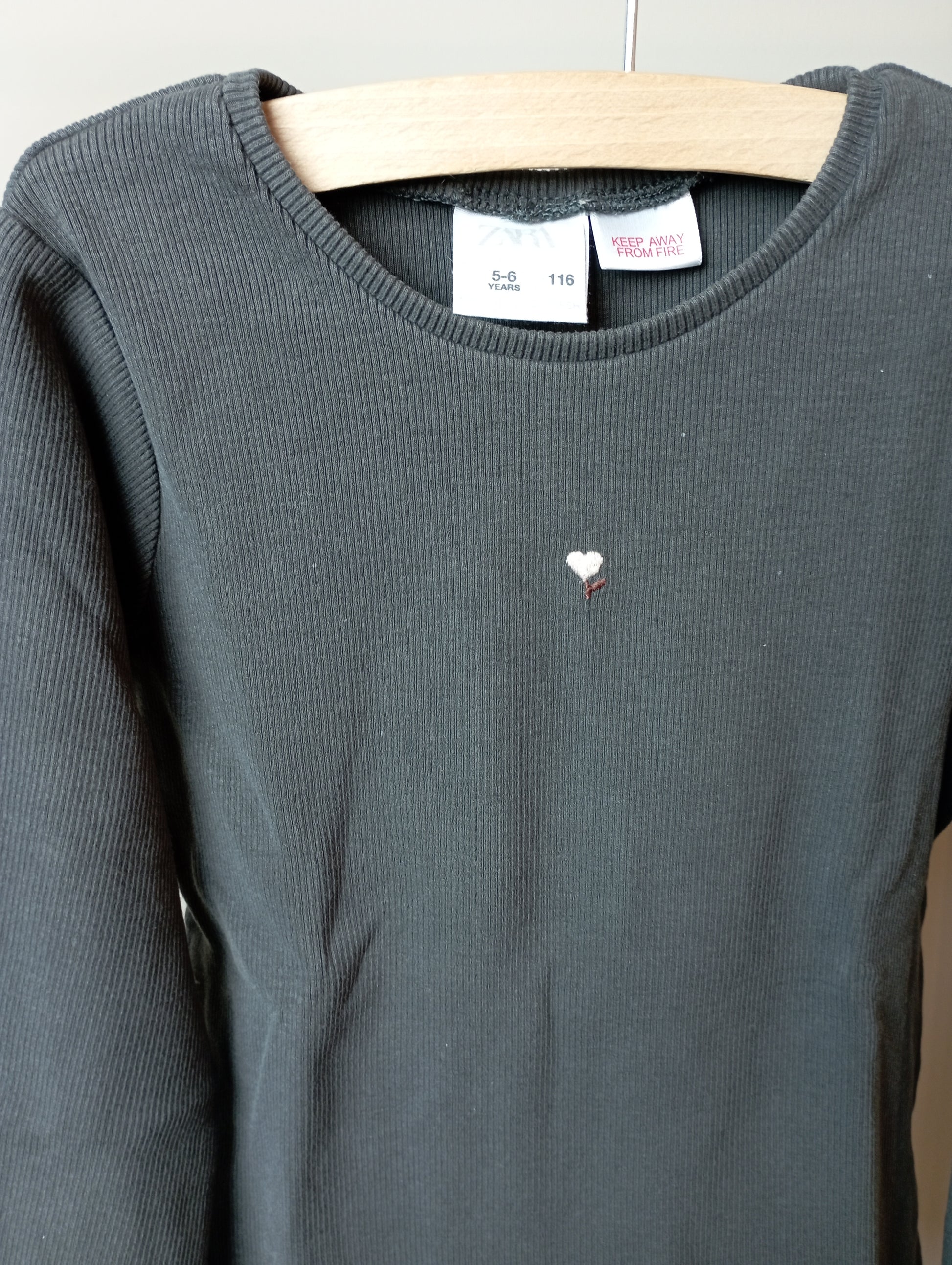 Longsleeve 116 Zara