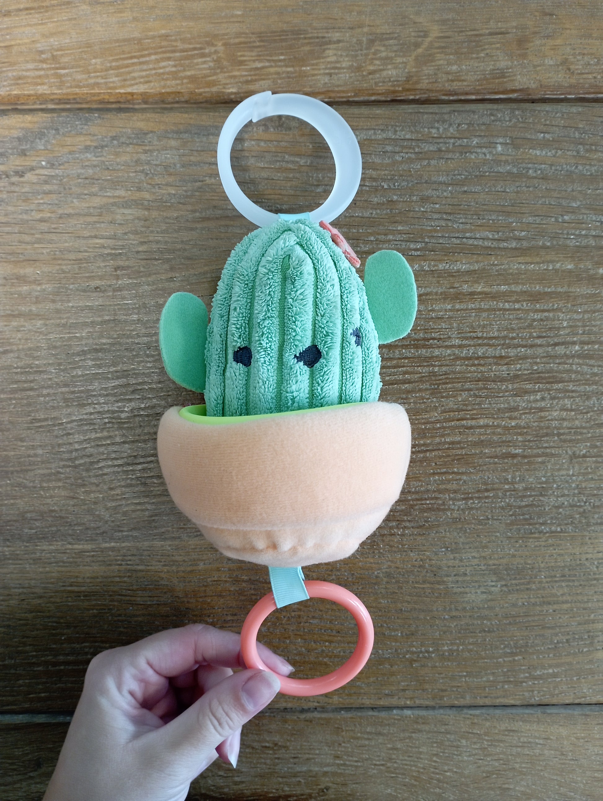 Farmstand jitter cactus - Skip Hop